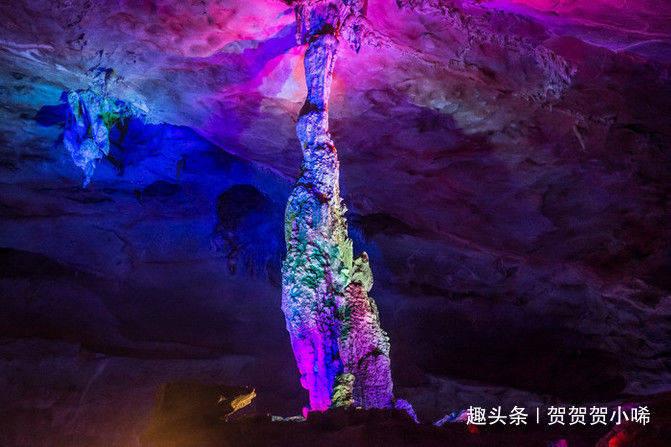 【法治丽江】公益诉讼增殖放流,守护一江清水向东流